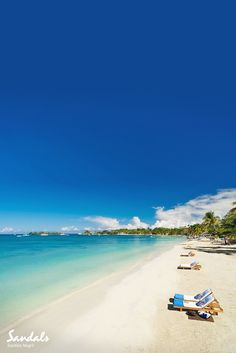 two lounge chairs sitting on top of a sandy beach next to the ocean and palm trees