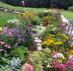 a garden filled with lots of colorful flowers