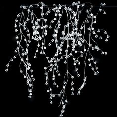 white lights hanging from the ceiling in front of a black background with leaves and berries