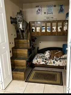 bunk beds in a closet for dogs. A dog bedroom Home With Dogs Ideas, Dogs Room Ideas Bedrooms, Cat And Dog Room Ideas, Big Dog Beds In Bedroom, Pet Sleeping Area, Dog House Inside Home, Dog Living Space Ideas, Bedroom Ideas With Dogs, Cute Dog Area In Bedroom