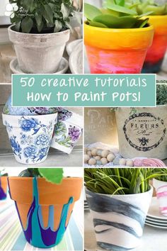 some potted plants with different designs on them and the words 50 creative ways to paint pots