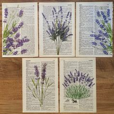 four book pages with lavender flowers on them