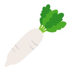 a white carrot with green leaves on it