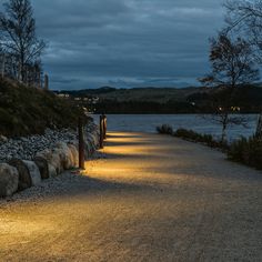 there is a path that leads to the water at night with lights shining on it