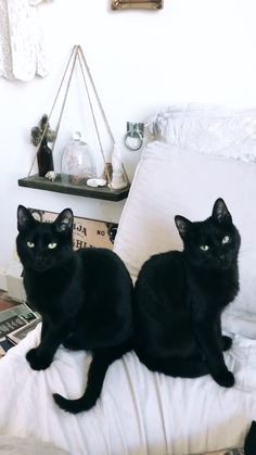 two black cats sitting on top of a white bed