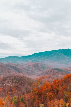 the mountains are covered in autumn foliage