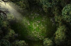 an aerial view of a green forest with trees