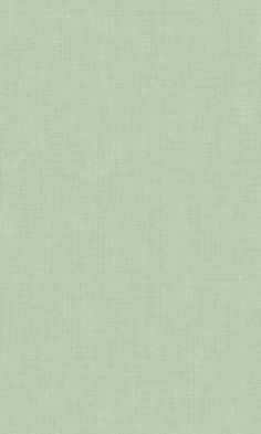 a plain light green fabric texture background