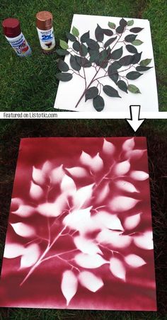 a red and white photo with leaves on it sitting in the middle of some grass