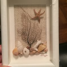 a white frame with shells and starfish on it