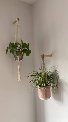 two potted plants hanging from hooks on the wall next to each other in a room