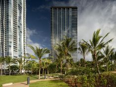 two tall buildings with palm trees in the foreground and a walkway leading to them