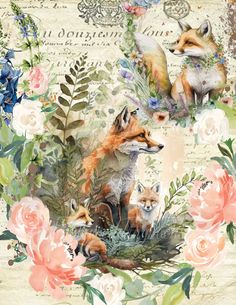 a painting of two foxes surrounded by flowers and leaves, with an old paper background