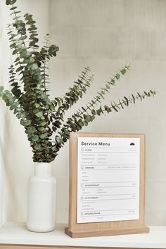 a plant in a white vase next to a menu