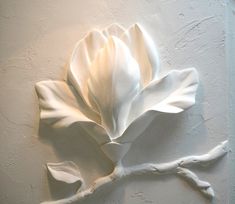 a white flower that is on the side of a wall