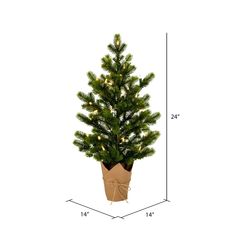 a potted christmas tree with lights on it's side and measurements for the height