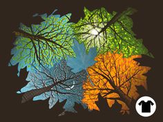 four different colored leaves are shown in this graphic art work, which depicts the colors of autumn and fall