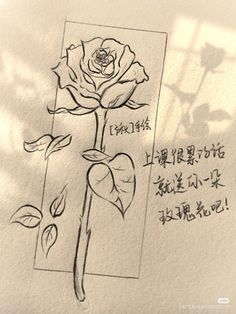 a drawing of a rose with chinese writing on it