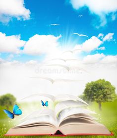 an open book with butterflies flying out of it on top of grass and blue sky