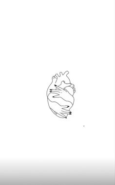 a drawing of a human heart on a white background