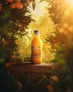 an orange juice bottle sitting on top of a wooden box surrounded by trees and leaves