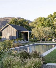 an outdoor swimming pool surrounded by greenery and shrubs with a shed in the background