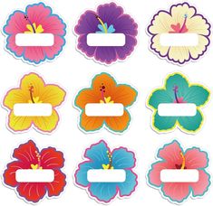 six flower shaped labels with different colors