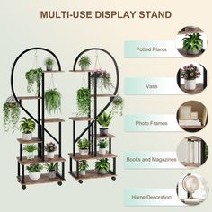 three tiered plant stand with multiple plants on each shelf and four different types of potted plants in the middle