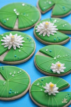 Frog On Lily Pad, Cake Decorating Classes, Sugar Cookie Recipe, Spring Cookies, Sugar Cookie Designs, Summer Cookies