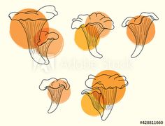 four different types of mushrooms on a white background with orange and yellow circles around them