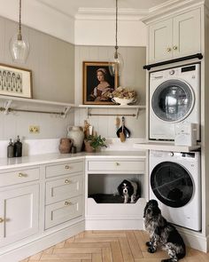 a dog sitting in front of a washer and dryer inside of a kitchen