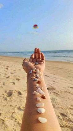 a person's arm with seashells on it and a kite in the background