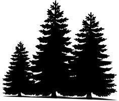 three pine trees silhouetted against a white background