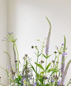 a vase filled with lots of purple and white flowers