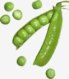 a pea and some peas on a white background with the pod still attached to it