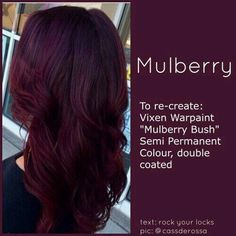 New Hair Colors 2023 Fall, Red Hair Colors For Brunettes, Cherry Wine Hair Color, Cherry Wine Hair Color Burgundy, Pelo Color Borgoña, Pelo Color Vino, Garden 2023, Wine Hair, Dark Red Hair