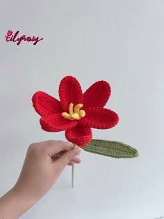 Add a touch of handmade charm to your home with Lilyrosy Crochet Tulip Flower. These delicate crochet tulips make for beautiful accent pieces and thoughtful gifts. Each flower is carefully crafted with love, making it a unique addition to any space. Bring in a piece of nature with these charming flowers. Crochet Tulip, Delicate Crochet, Crochet Flowers Free Pattern, Crochet Sunflower, Tulip Flower, Single Flower, Handmade Charms, Tulips Flowers, Handmade Flowers