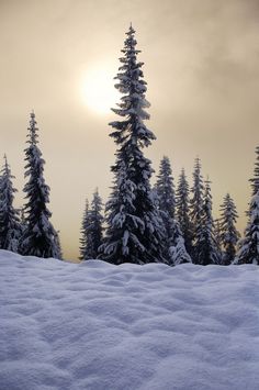 the sun is setting behind some snow covered trees