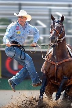 a man riding on the back of a brown horse