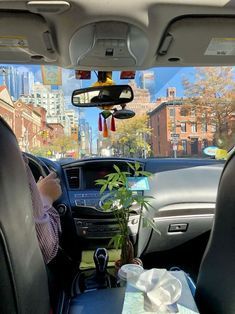 the interior of a car with a small potted plant in the passenger seat