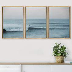 three framed pictures hang on the wall above a dresser with a potted plant in front of it