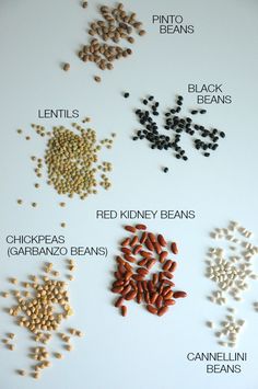 seeds, beans and lentils are labeled in the following words on a white background