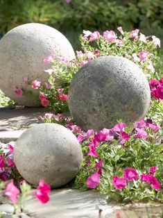 some pink flowers and rocks in the middle of a flowerbed with purple flowers growing out of them