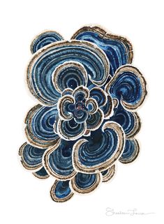 a blue and white flower with swirls on the petals is shown in this drawing