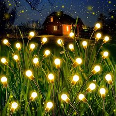 some lights that are in the grass near a house at night with fireflies flying around