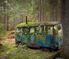 an old van with moss growing on it in the woods