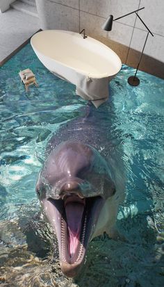 a dolphin is in the water with its mouth open and it's tongue out