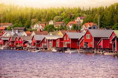 a row of red houses sitting on the side of a lake next to a forest