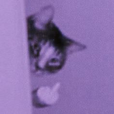 a blurry image of a cat peeking out from behind a wall with its head in the corner