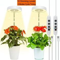 three different types of plants and remote controls in front of a white background with the words 10 dimming levels 3 modes cycle time